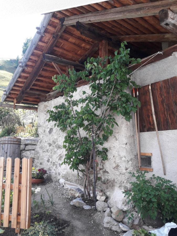 Hofstatthof Vila Campo di Trens Exterior foto